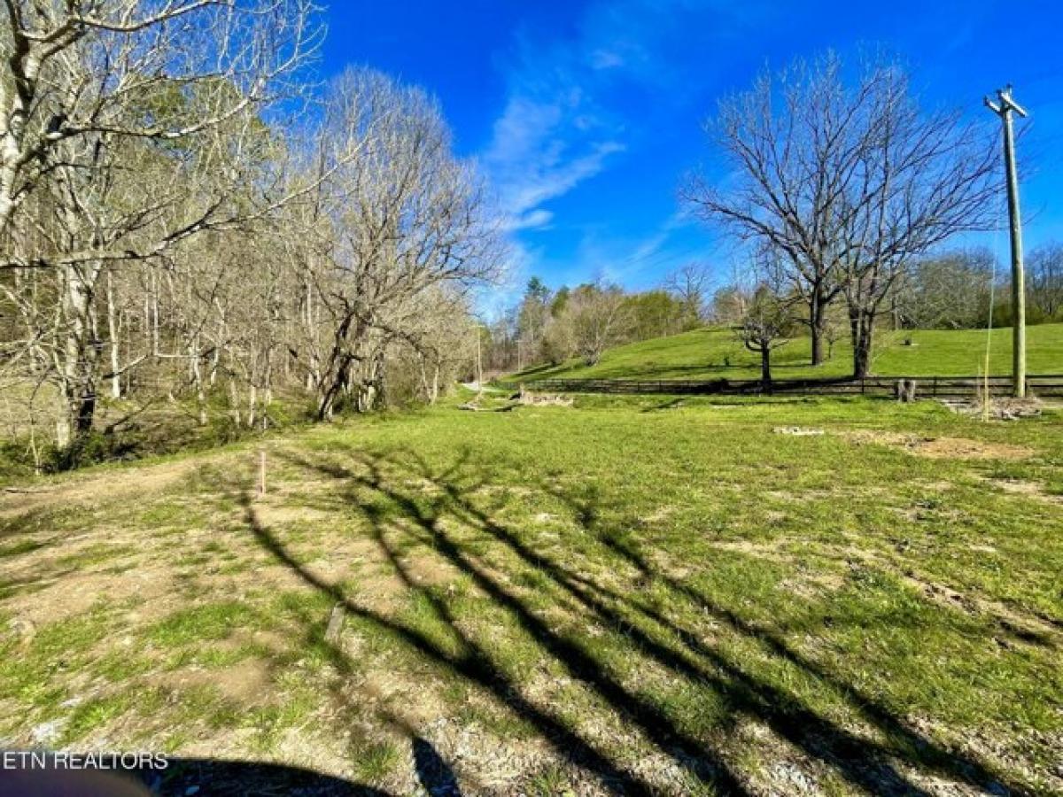 Picture of Residential Land For Sale in Cosby, Tennessee, United States