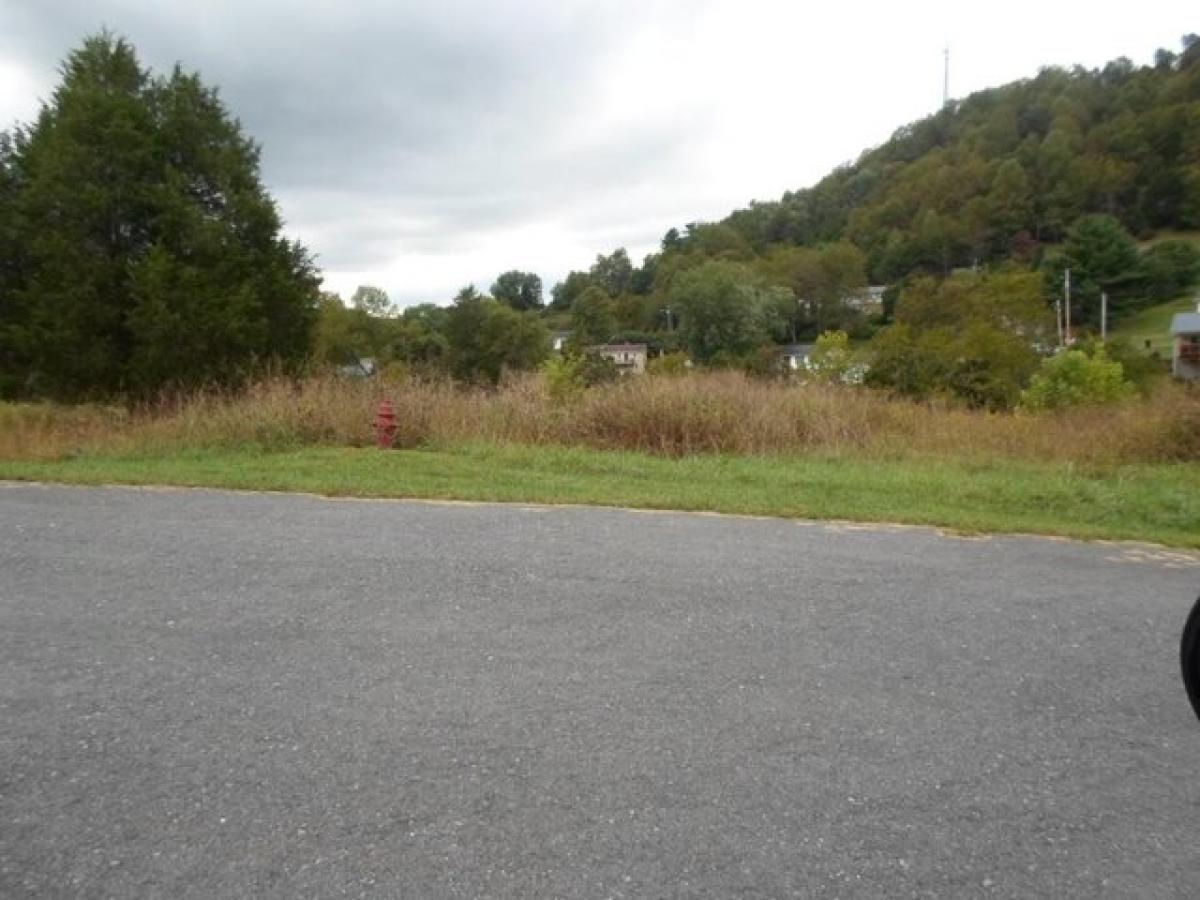 Picture of Residential Land For Sale in Lebanon, Virginia, United States