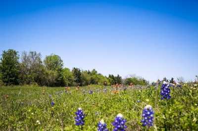 Residential Land For Sale in Chappell Hill, Texas