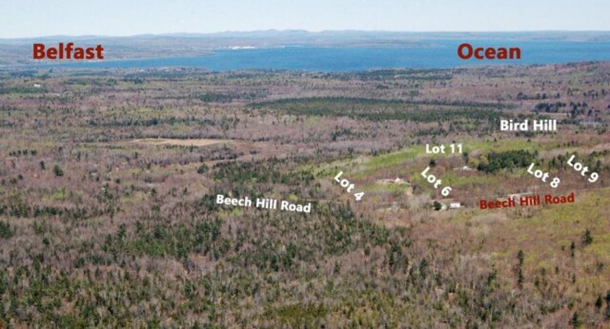 Picture of Residential Land For Sale in Northport, Maine, United States