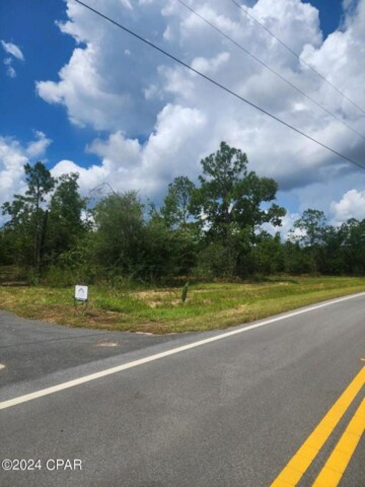 Picture of Residential Land For Sale in Chipley, Florida, United States