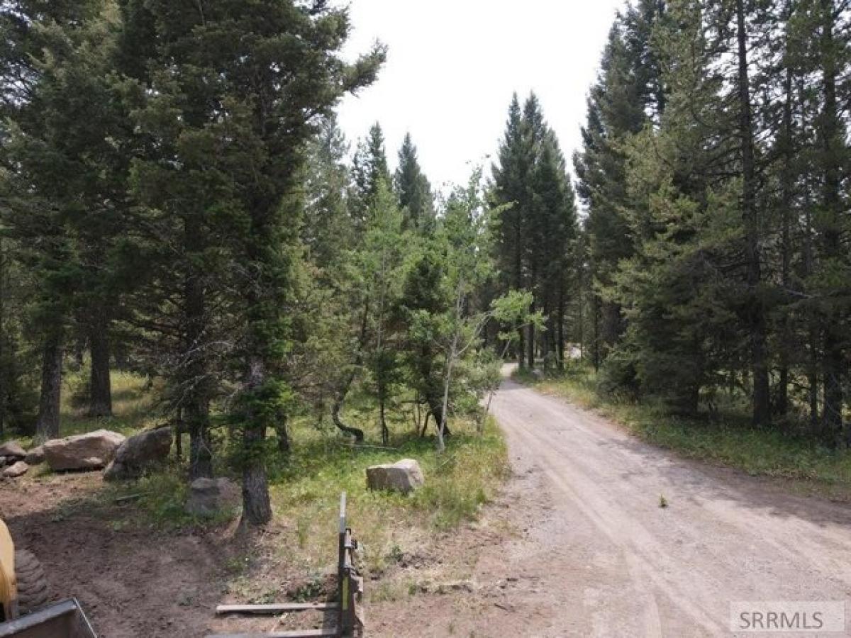 Picture of Residential Land For Sale in Island Park, Idaho, United States