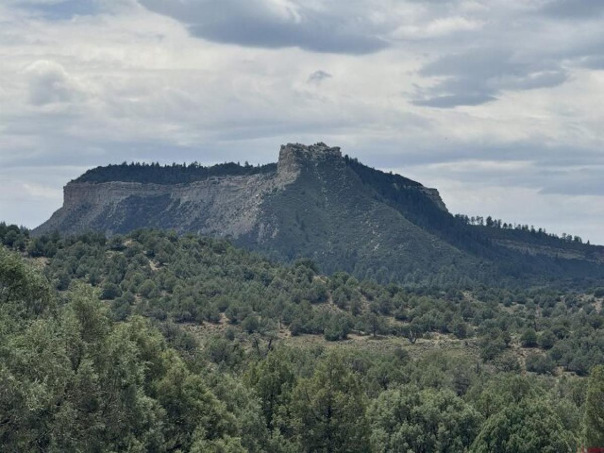 Picture of Residential Land For Sale in Pagosa Springs, Colorado, United States