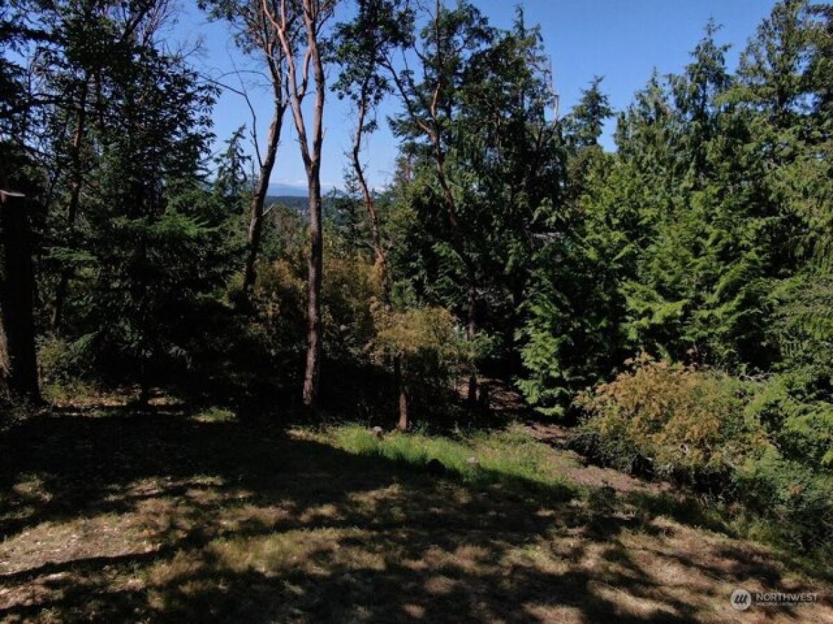 Picture of Residential Land For Sale in Port Townsend, Washington, United States