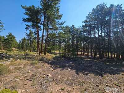 Home For Sale in Red Feather Lakes, Colorado