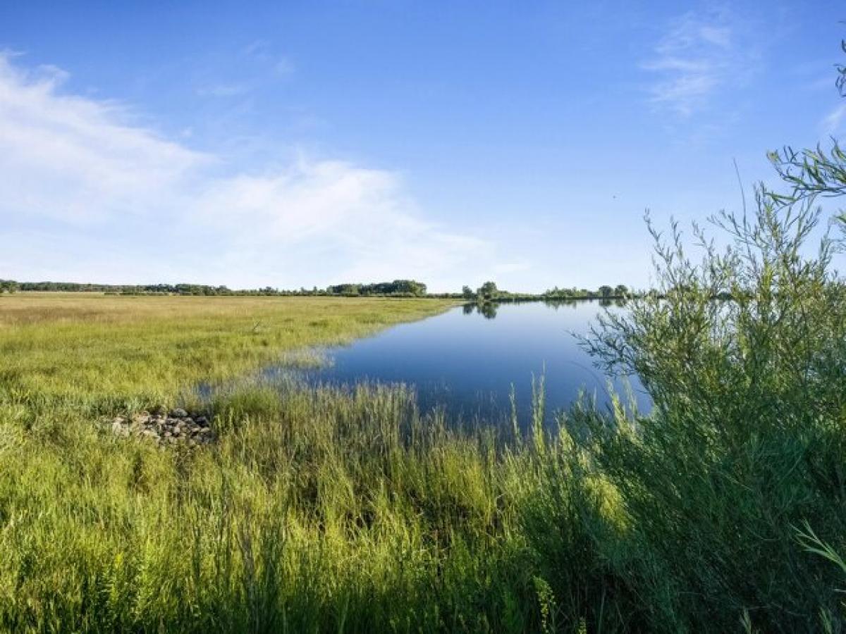 Picture of Residential Land For Sale in Westcliffe, Colorado, United States