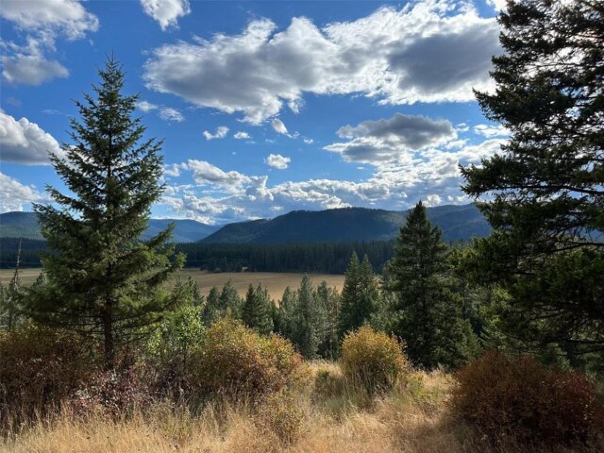 Picture of Residential Land For Sale in Trout Creek, Montana, United States