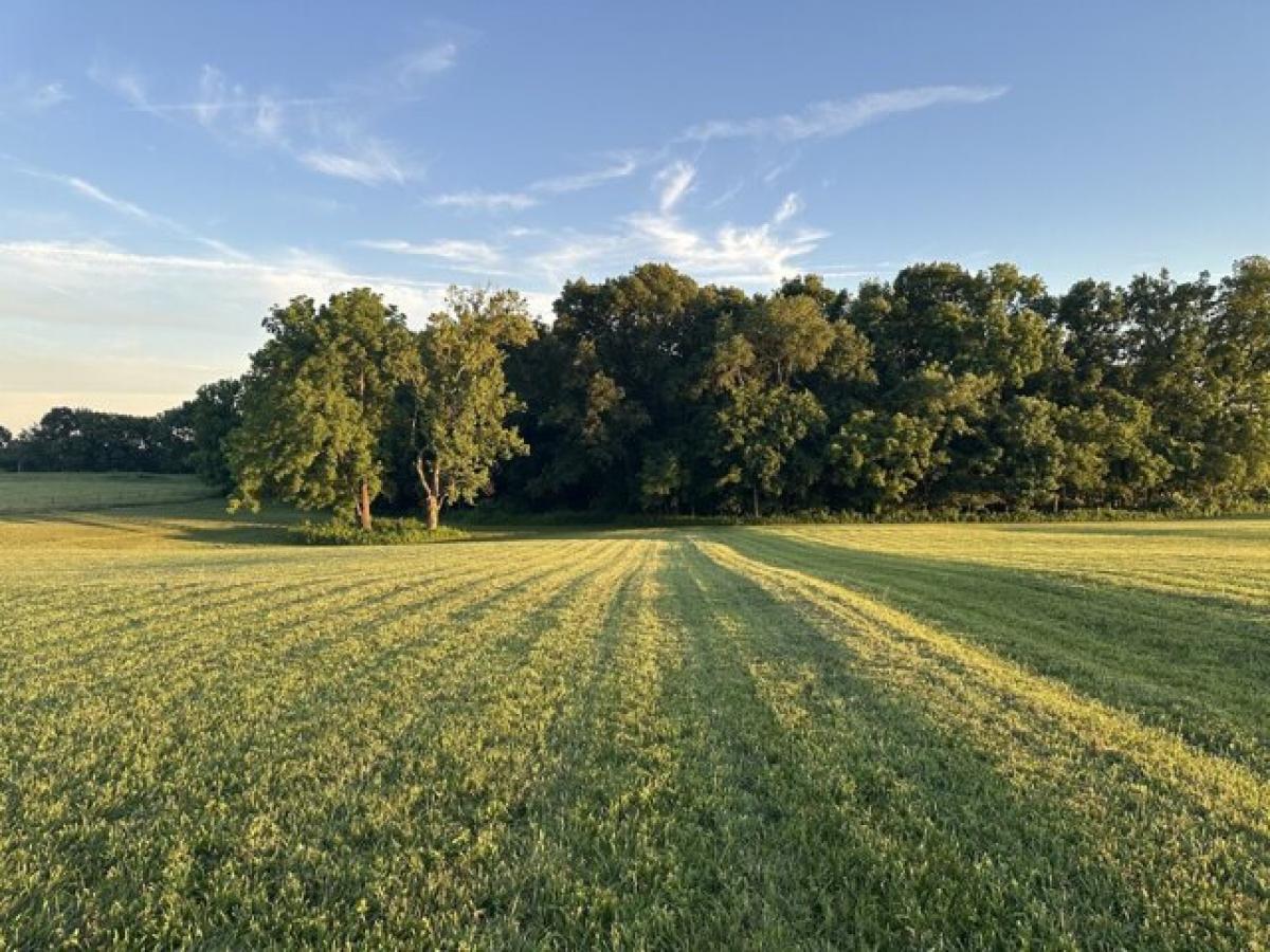 Picture of Residential Land For Sale in Portland, Tennessee, United States