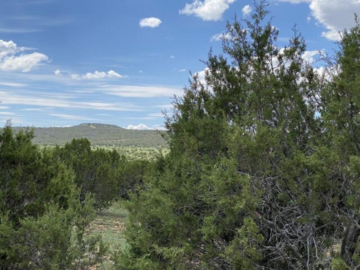 Picture of Residential Land For Sale in Edgewood, New Mexico, United States