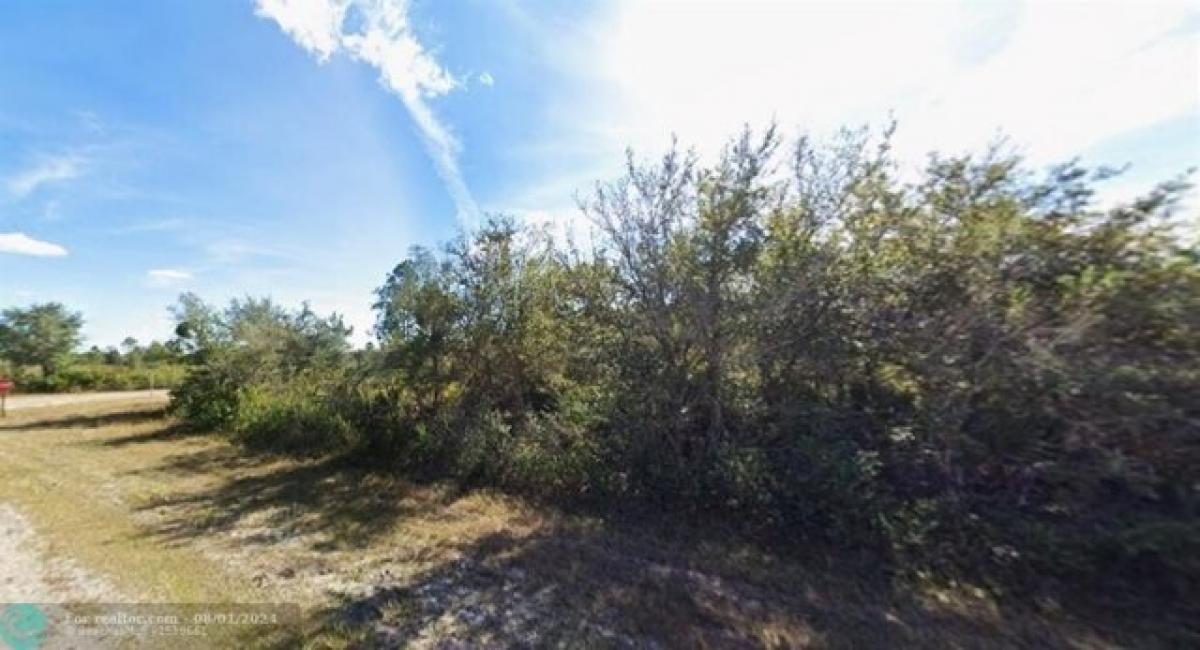 Picture of Residential Land For Sale in Indian Lake Estates, Florida, United States