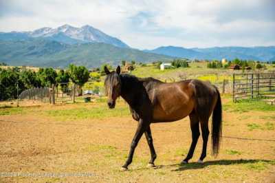 Home For Sale in Carbondale, Colorado