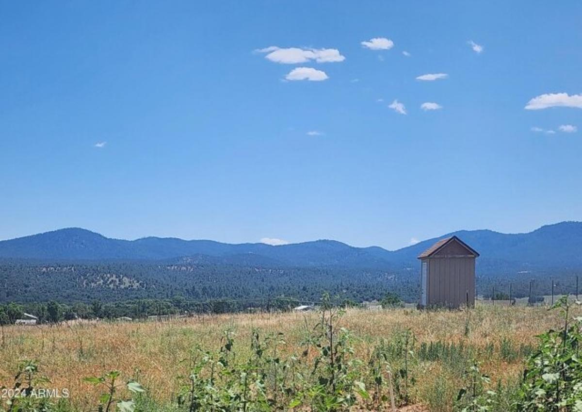 Picture of Residential Land For Sale in Young, Arizona, United States