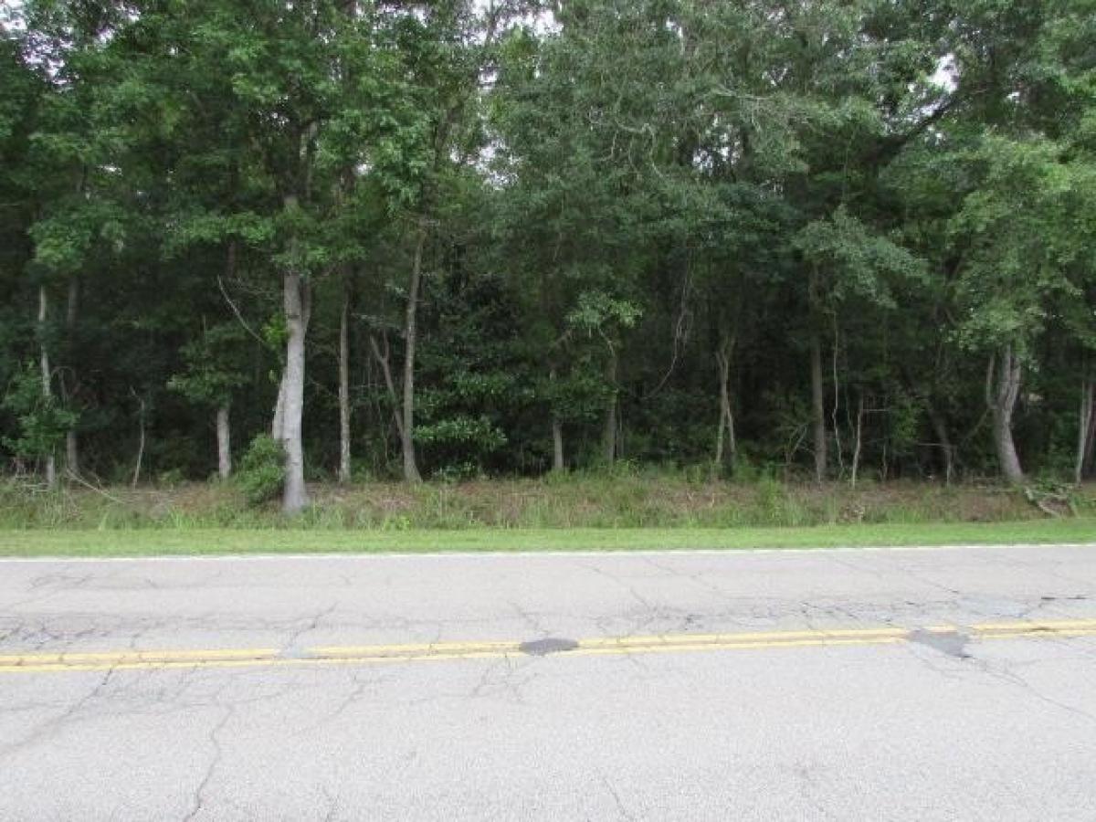 Picture of Residential Land For Sale in Sumter, South Carolina, United States