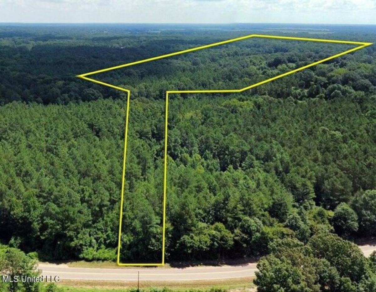 Picture of Residential Land For Sale in Byhalia, Mississippi, United States