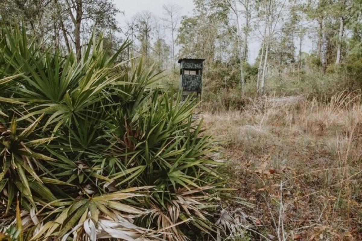 Picture of Home For Sale in Greenville, Florida, United States