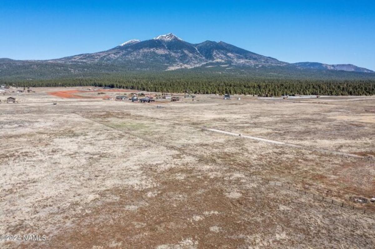 Picture of Residential Land For Sale in Flagstaff, Arizona, United States