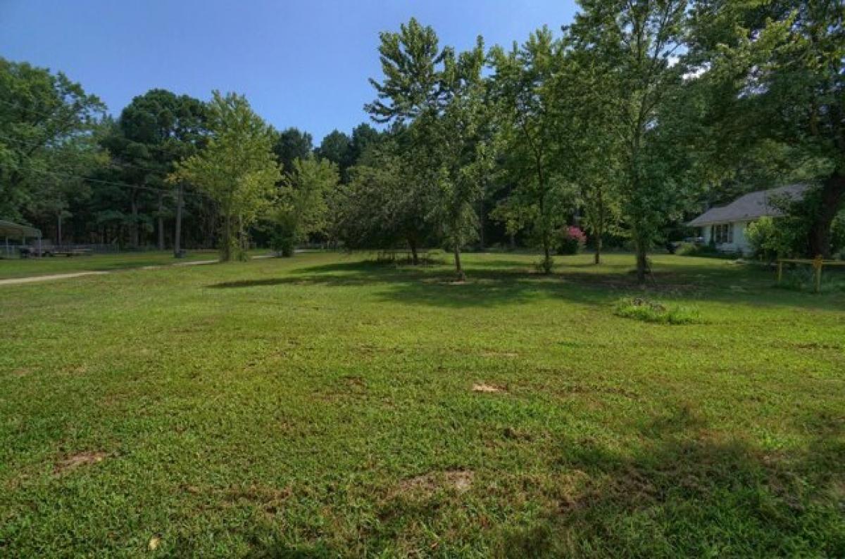 Picture of Residential Land For Sale in Clarksville, Arkansas, United States