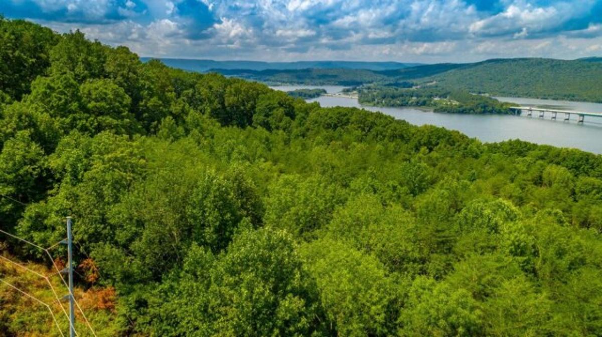 Picture of Residential Land For Sale in Guild, Tennessee, United States