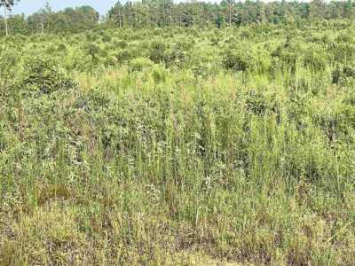 Residential Land For Sale in Doddridge, Arkansas