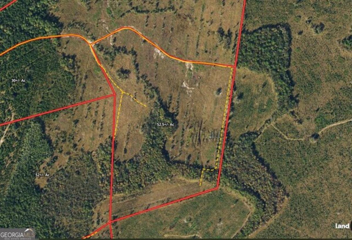 Picture of Residential Land For Sale in Folkston, Georgia, United States