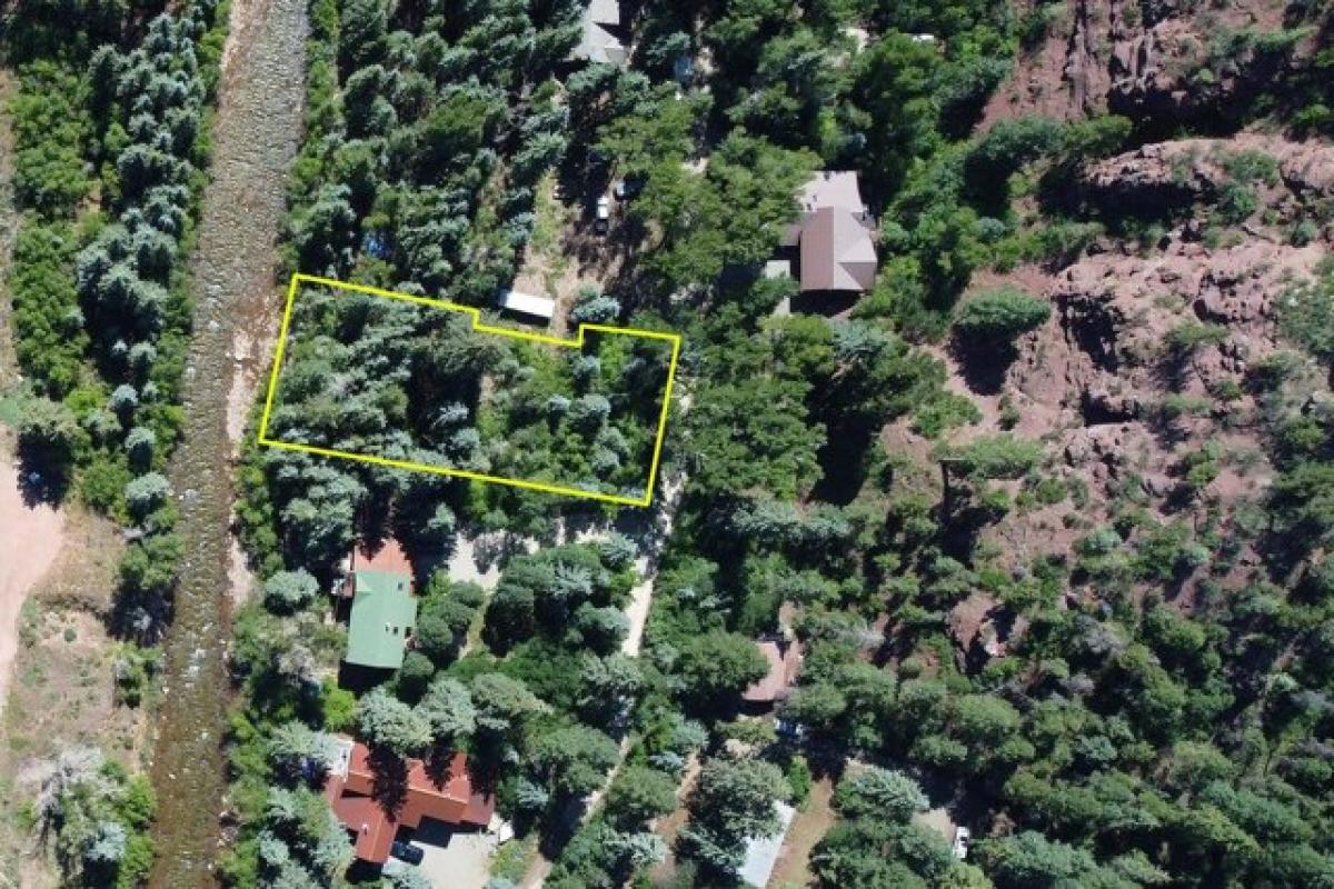 Picture of Residential Land For Sale in Placerville, Colorado, United States