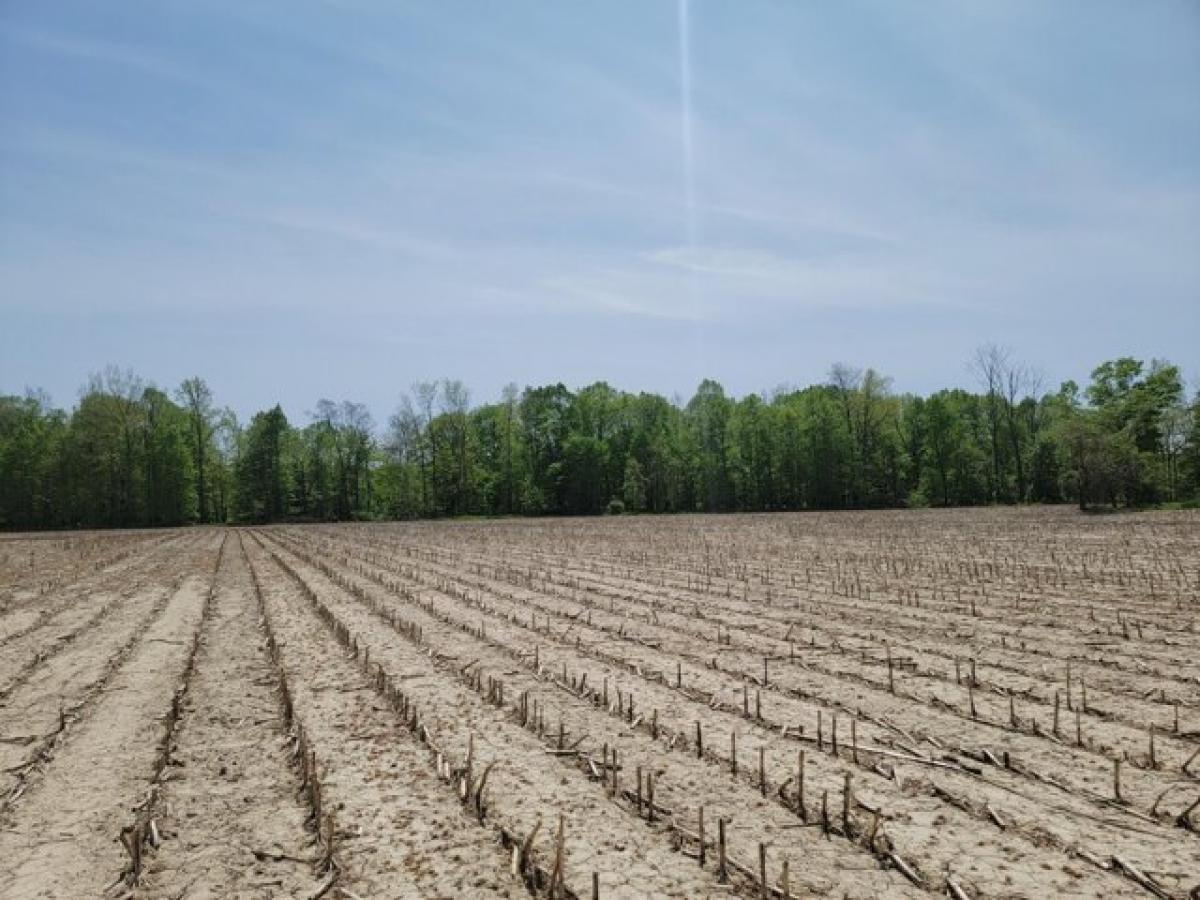 Picture of Residential Land For Sale in Nunica, Michigan, United States