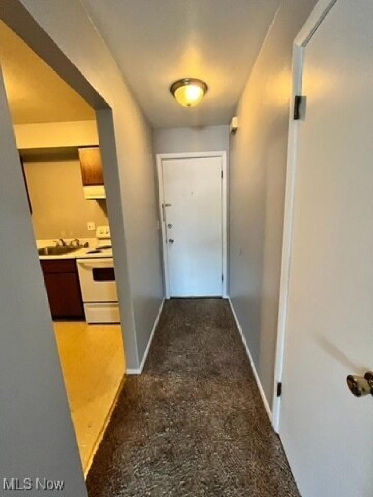 Picture of Apartment For Rent in Boardman, Ohio, United States