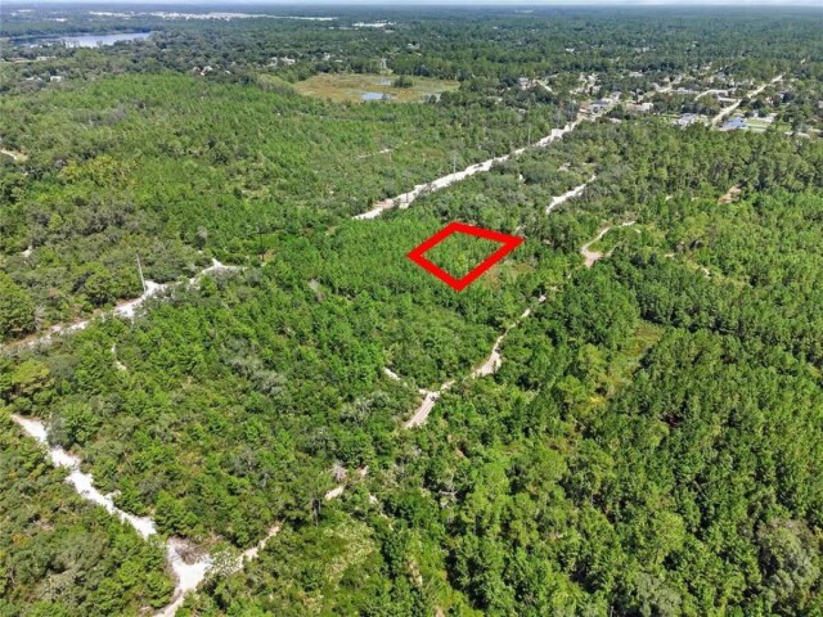 Picture of Residential Land For Sale in Deland, Florida, United States