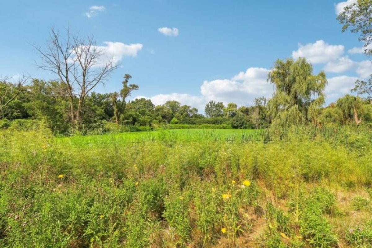 Picture of Residential Land For Sale in Long Grove, Illinois, United States