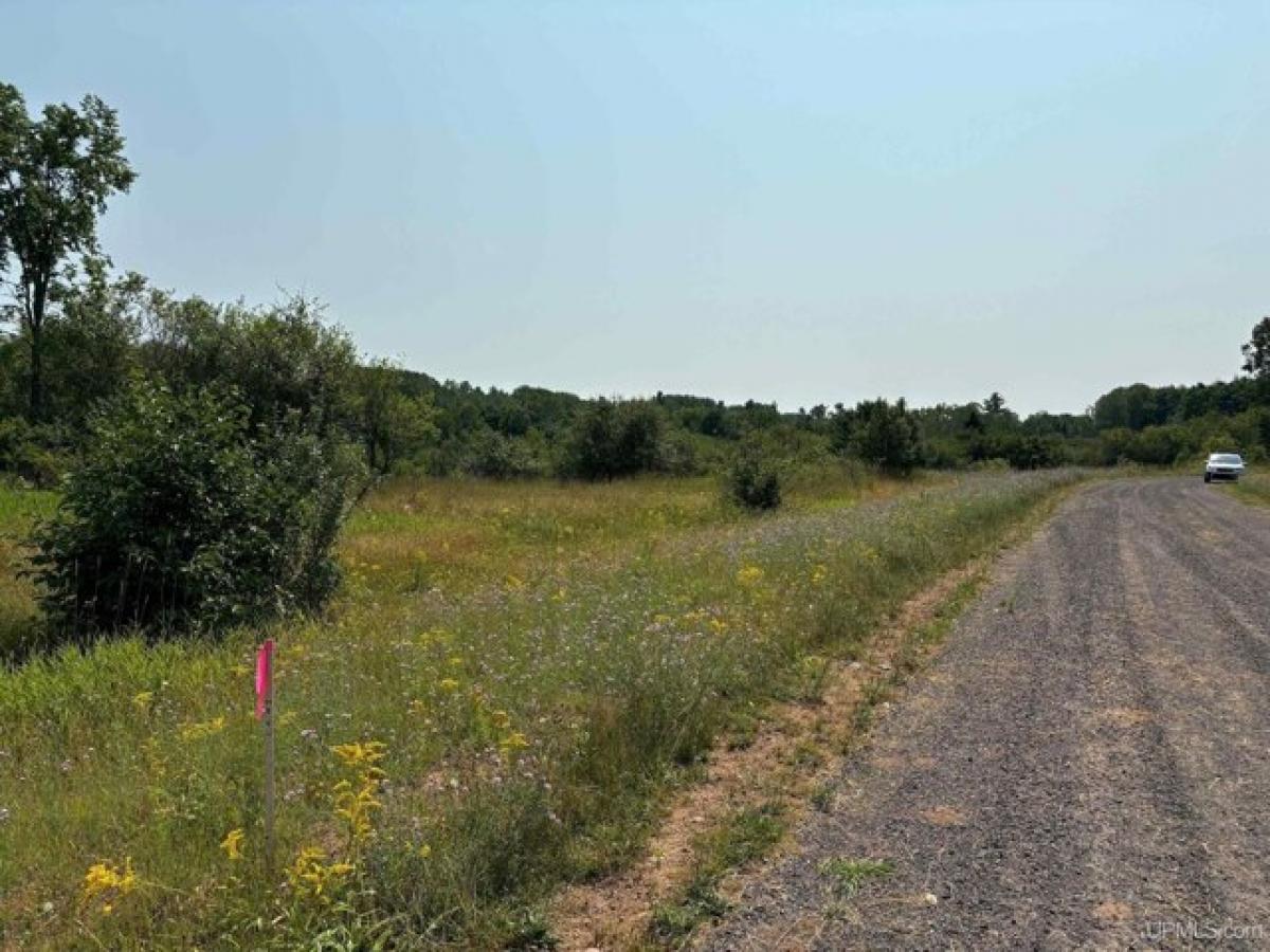 Picture of Residential Land For Sale in Houghton, Michigan, United States