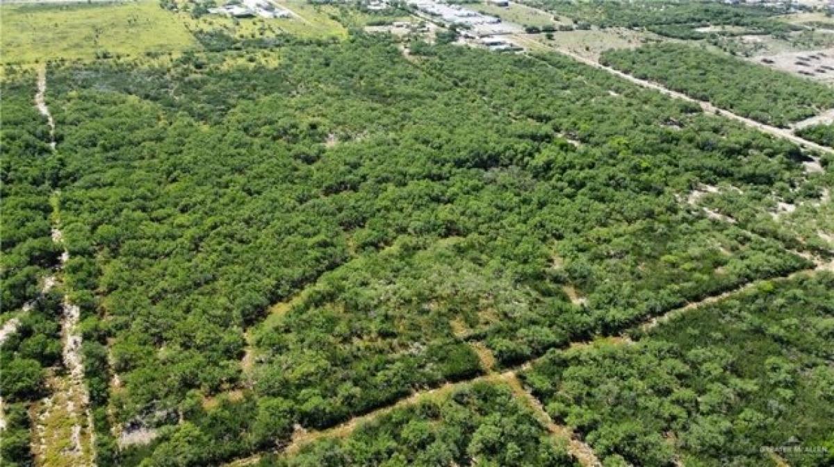 Picture of Residential Land For Sale in Rio Grande City, Texas, United States