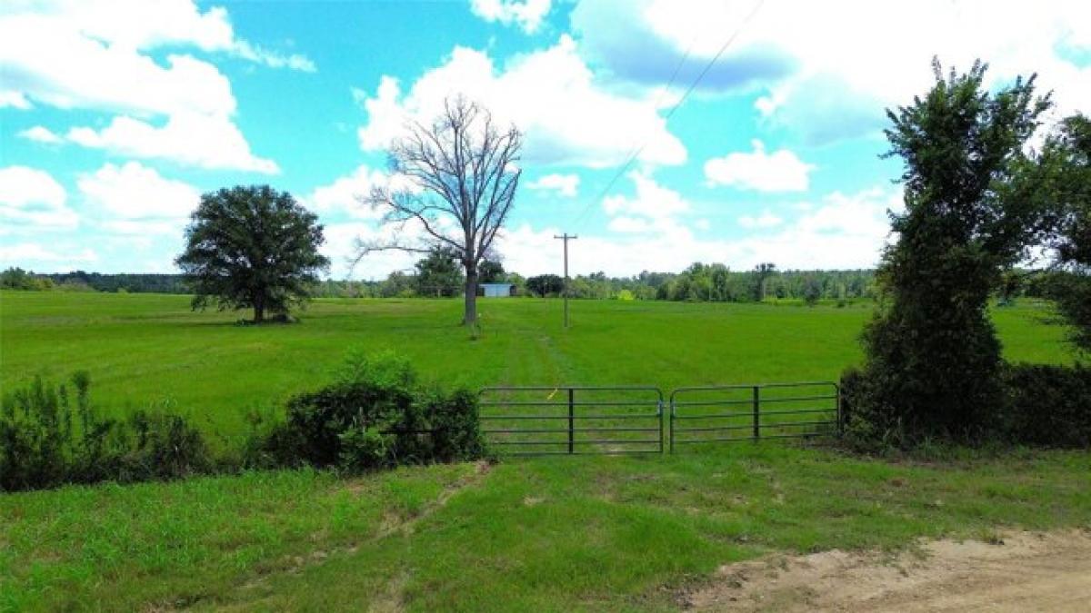 Picture of Residential Land For Sale in Apple Springs, Texas, United States