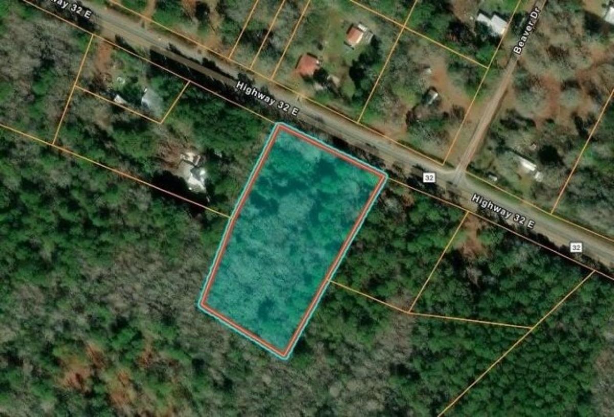 Picture of Residential Land For Sale in Hortense, Georgia, United States