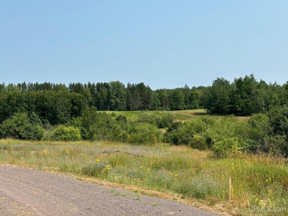 Picture of Residential Land For Sale in Houghton, Michigan, United States