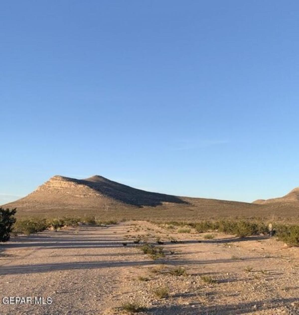 Picture of Residential Land For Sale in El Paso, Texas, United States