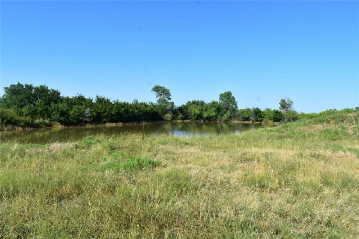 Picture of Residential Land For Sale in Olney, Texas, United States