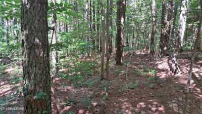 Residential Land For Sale in Rockwood, Tennessee