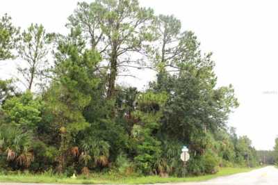 Residential Land For Sale in Pierson, Florida