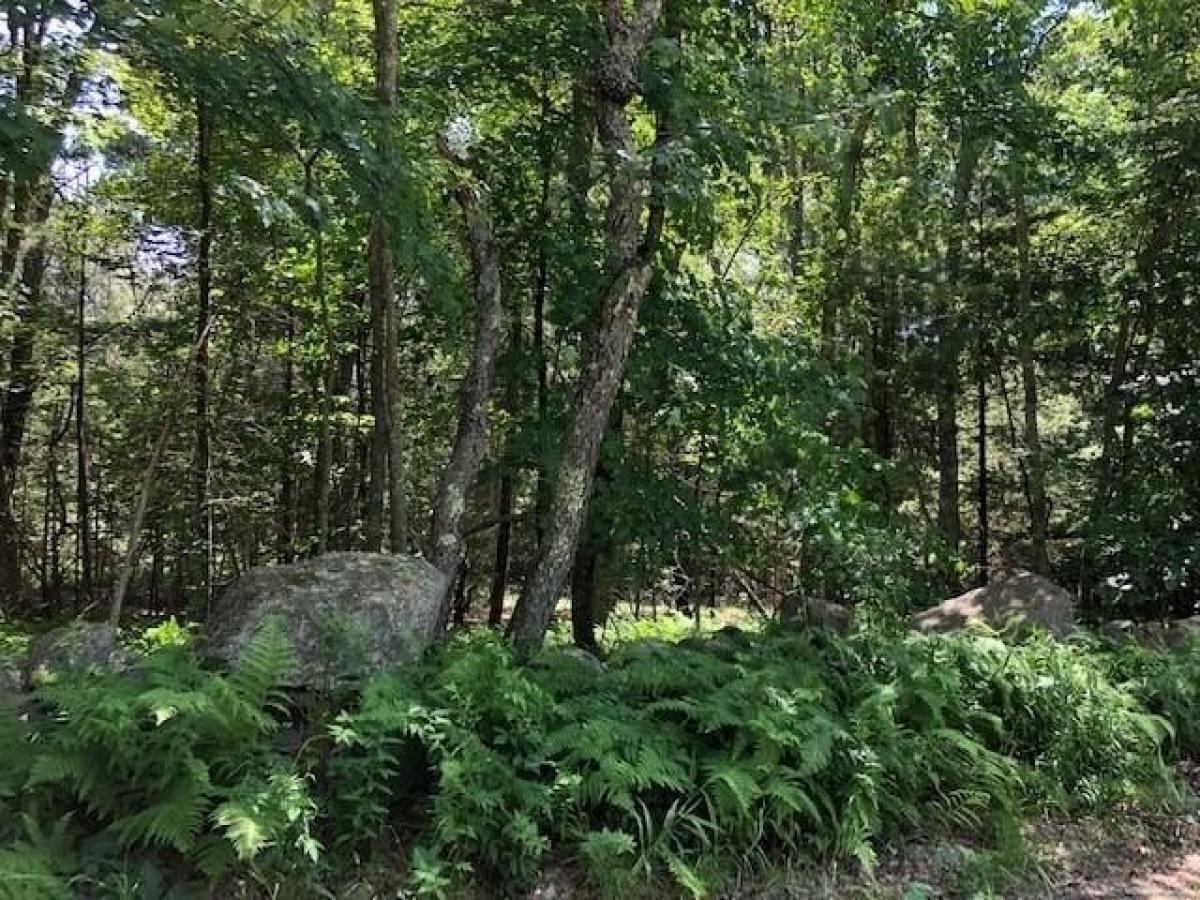 Picture of Residential Land For Sale in Foster, Rhode Island, United States