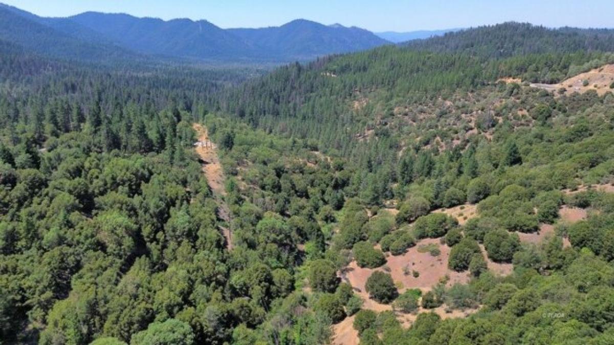 Picture of Residential Land For Sale in Hayfork, California, United States