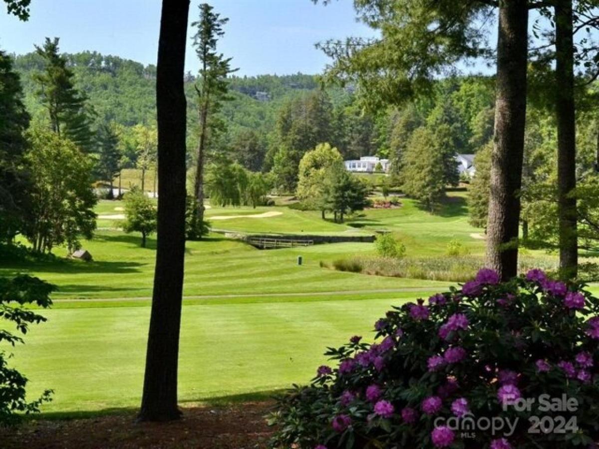 Picture of Residential Land For Sale in Flat Rock, North Carolina, United States