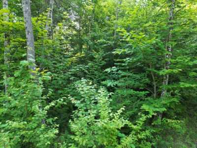 Residential Land For Sale in Springfield, Maine