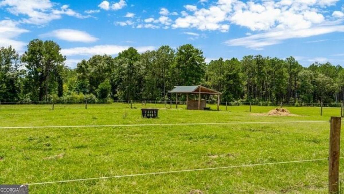 Picture of Residential Land For Sale in Butler, Georgia, United States