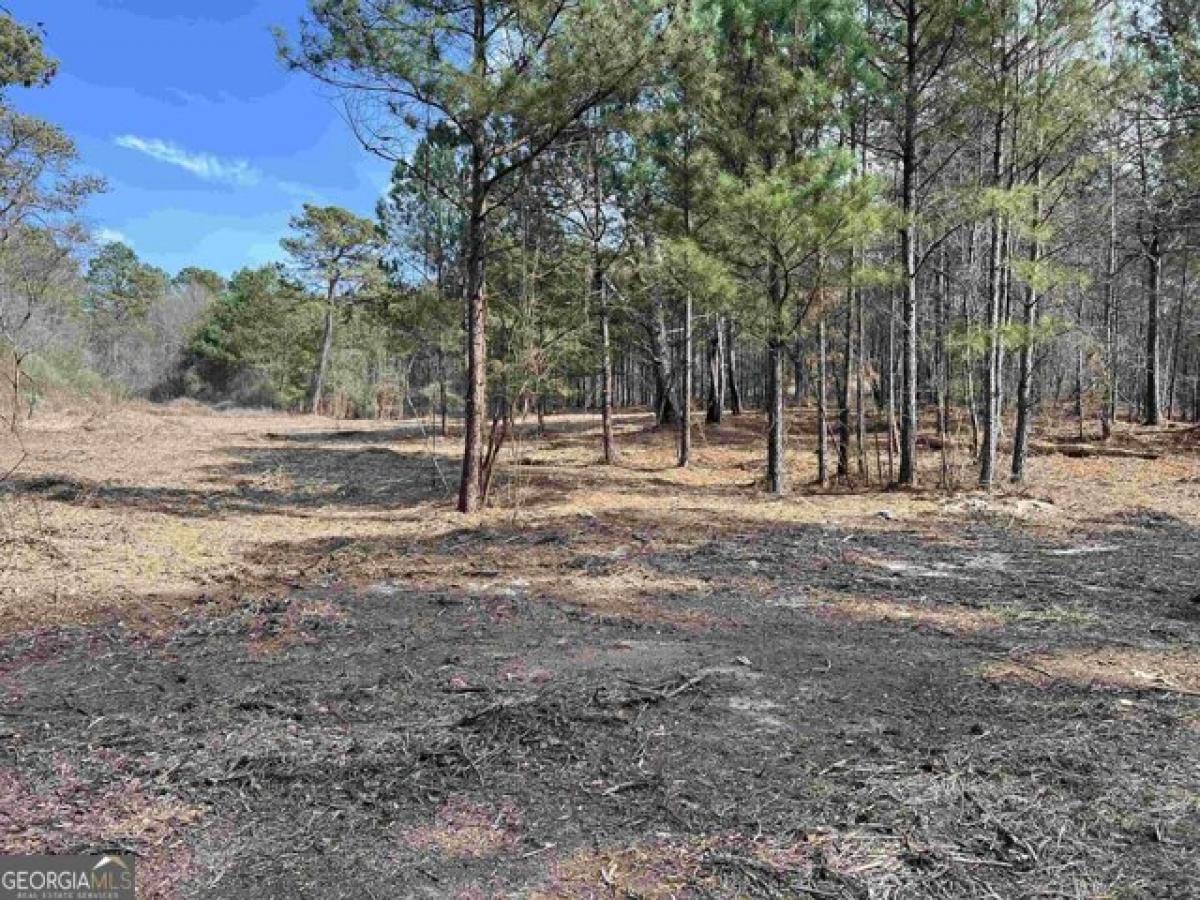 Picture of Residential Land For Sale in Loganville, Georgia, United States