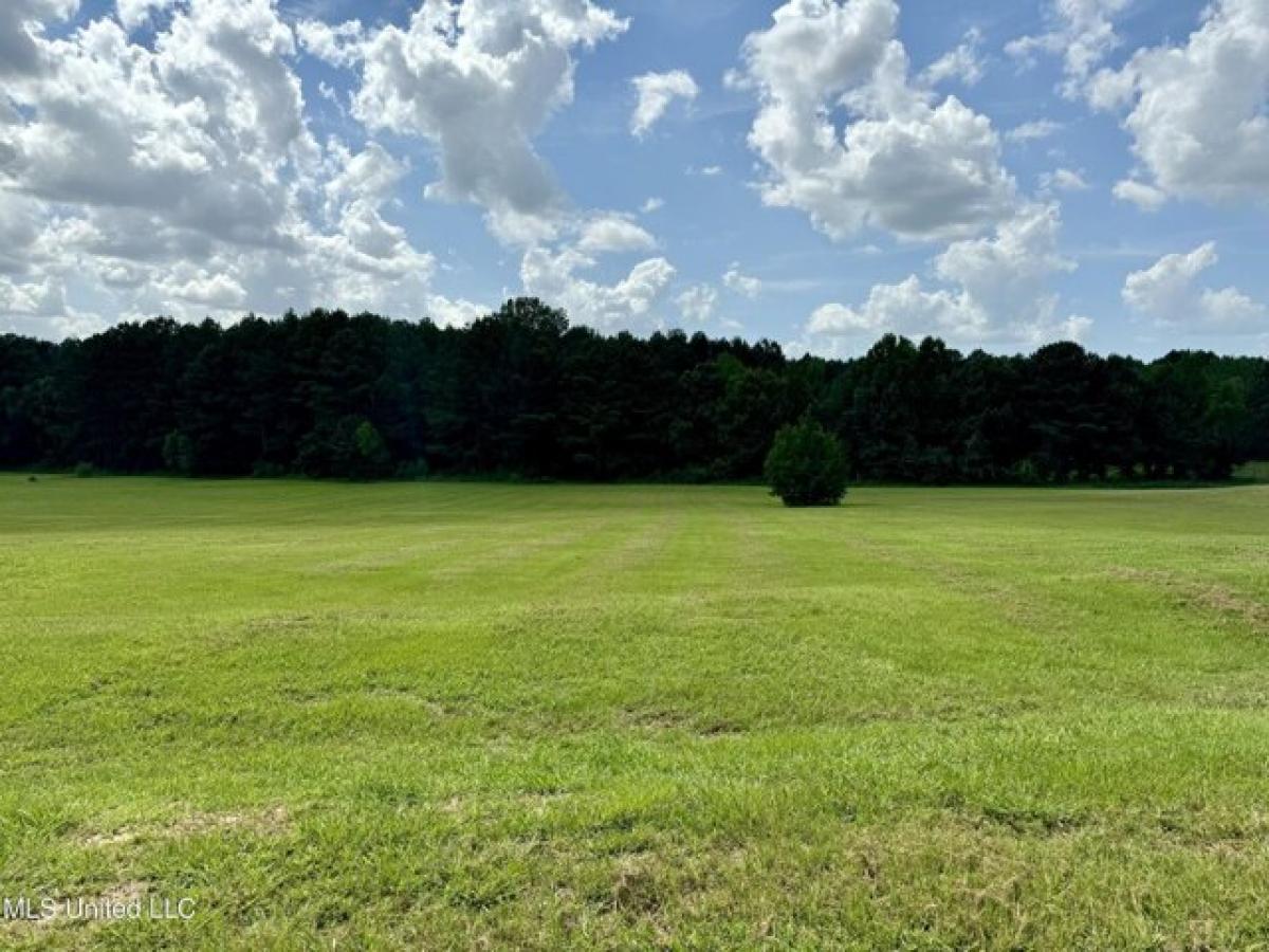 Picture of Residential Land For Sale in Brandon, Mississippi, United States