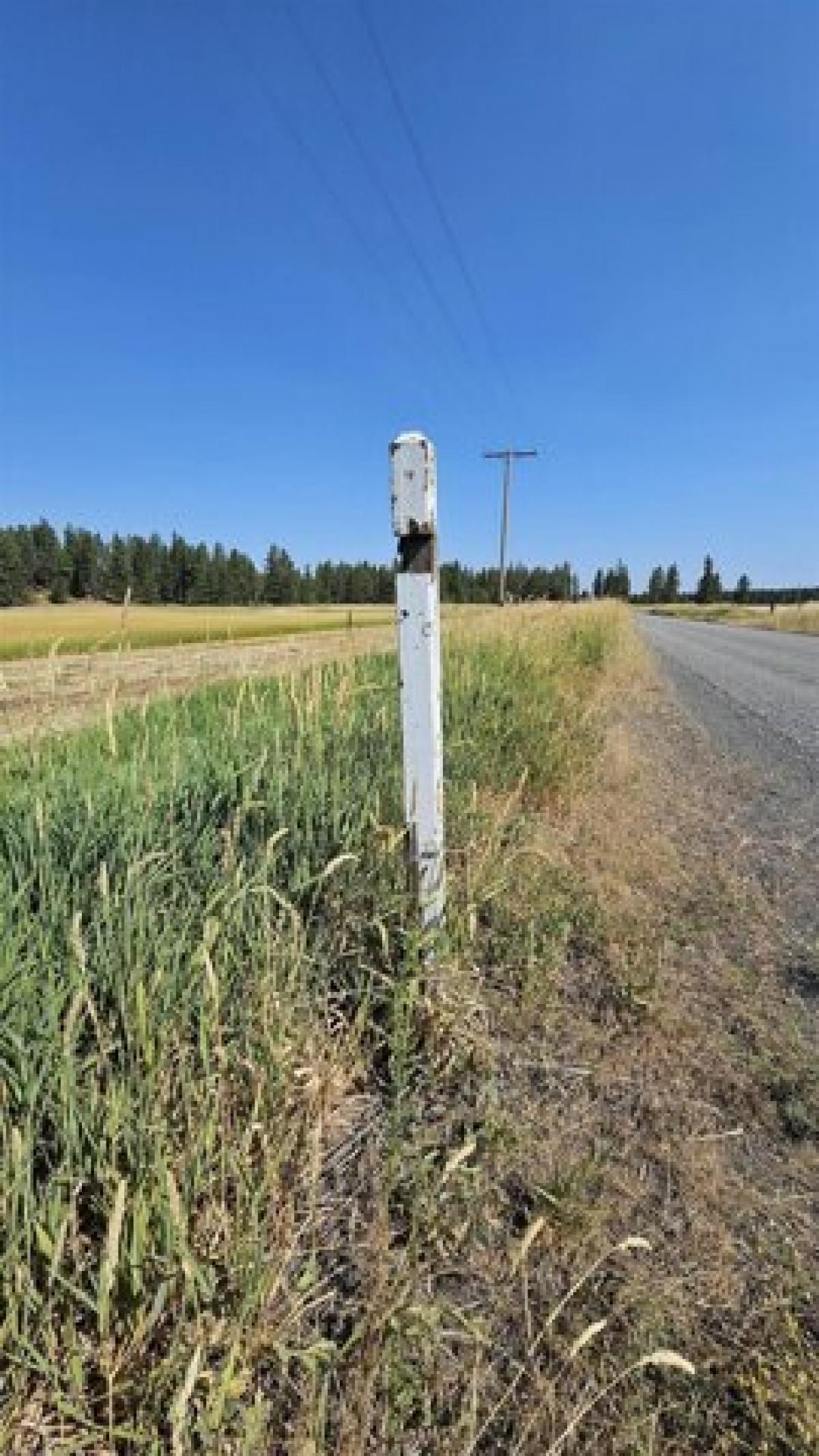 Picture of Residential Land For Sale in Spangle, Washington, United States