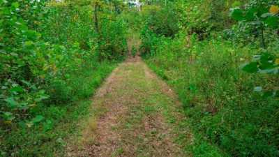 Residential Land For Sale in 