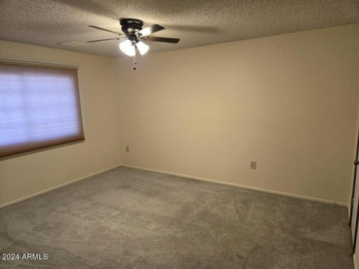 Picture of Home For Rent in Sun City, Arizona, United States