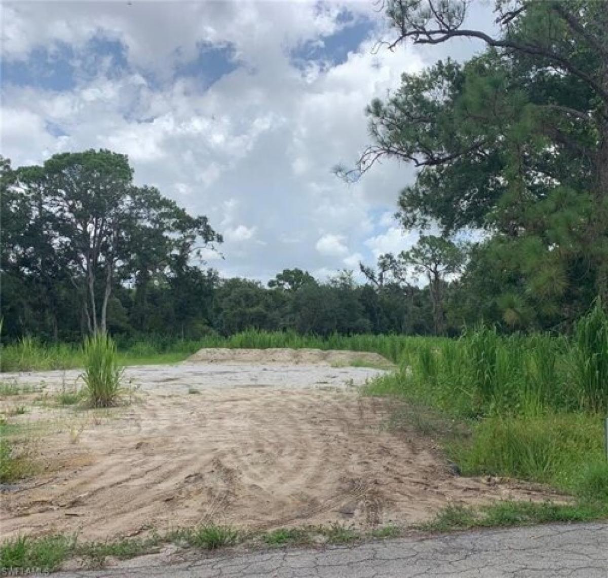 Picture of Residential Land For Sale in Alva, Florida, United States