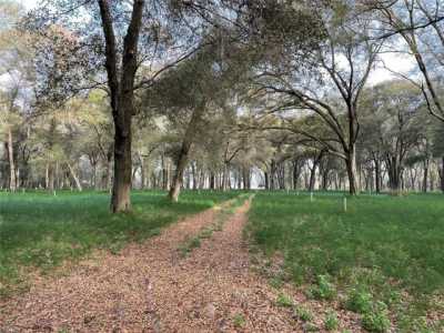 Residential Land For Sale in 